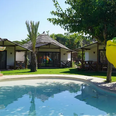 El Delfín - Camping 4*