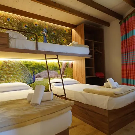 El Delfín - Camping 4*