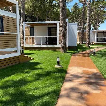 El Delfin - Castell-Platja d'Aro